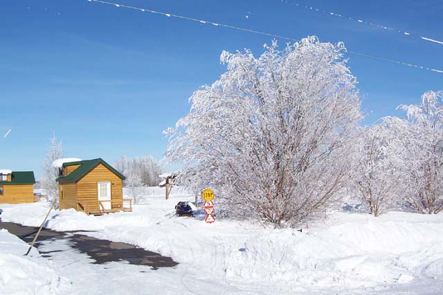 cabin