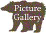 Picture Gallery